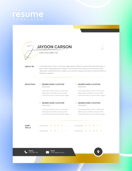 Free Professional Executive Resume Template in Google Docs and Word