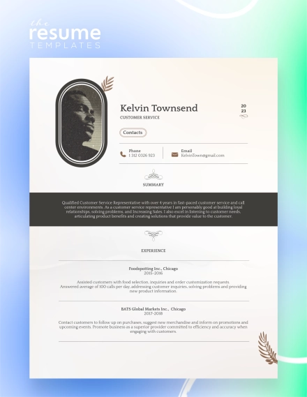 Free Vintage Antique Elegance Resume Template in Google Docs and Word